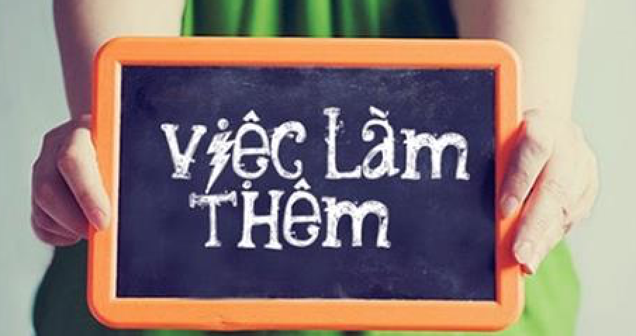 lĩnh vực hoạt động